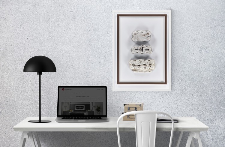 Fotografia autorska
Tytuł: Post-konsumpcjonizm (obraz 30)
Autor: Marek Czarnecki
© Wszelkie prawa zastrzeżone.
www.fotogallery.eu